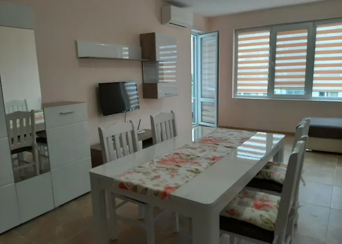 и мони холидейс צרבו