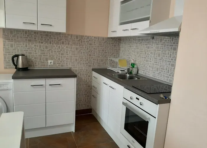 и мони холидейс צרבו