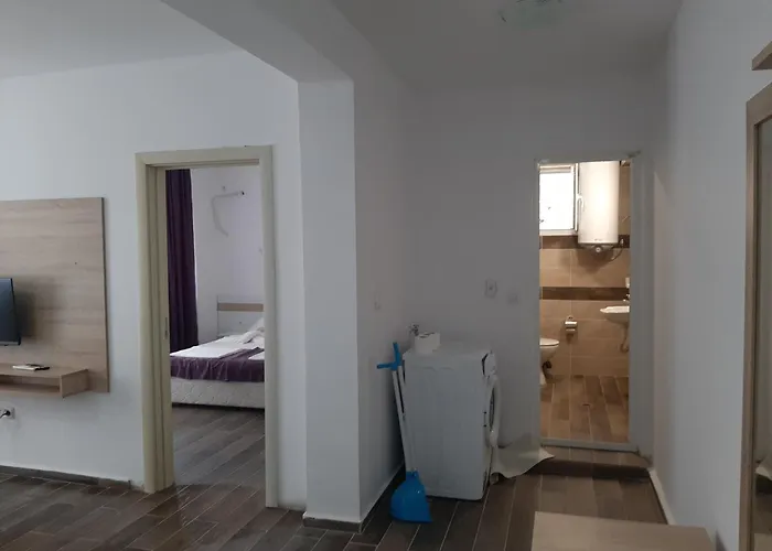 и мони холидейс צרבו